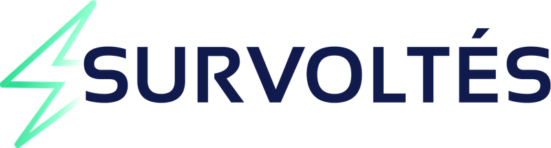 Survoltés